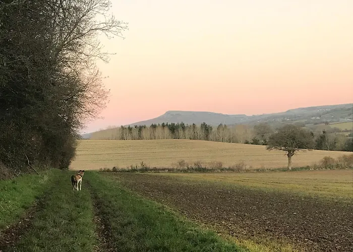 The Nut House - Squirrel Lane Lodges Ludlow