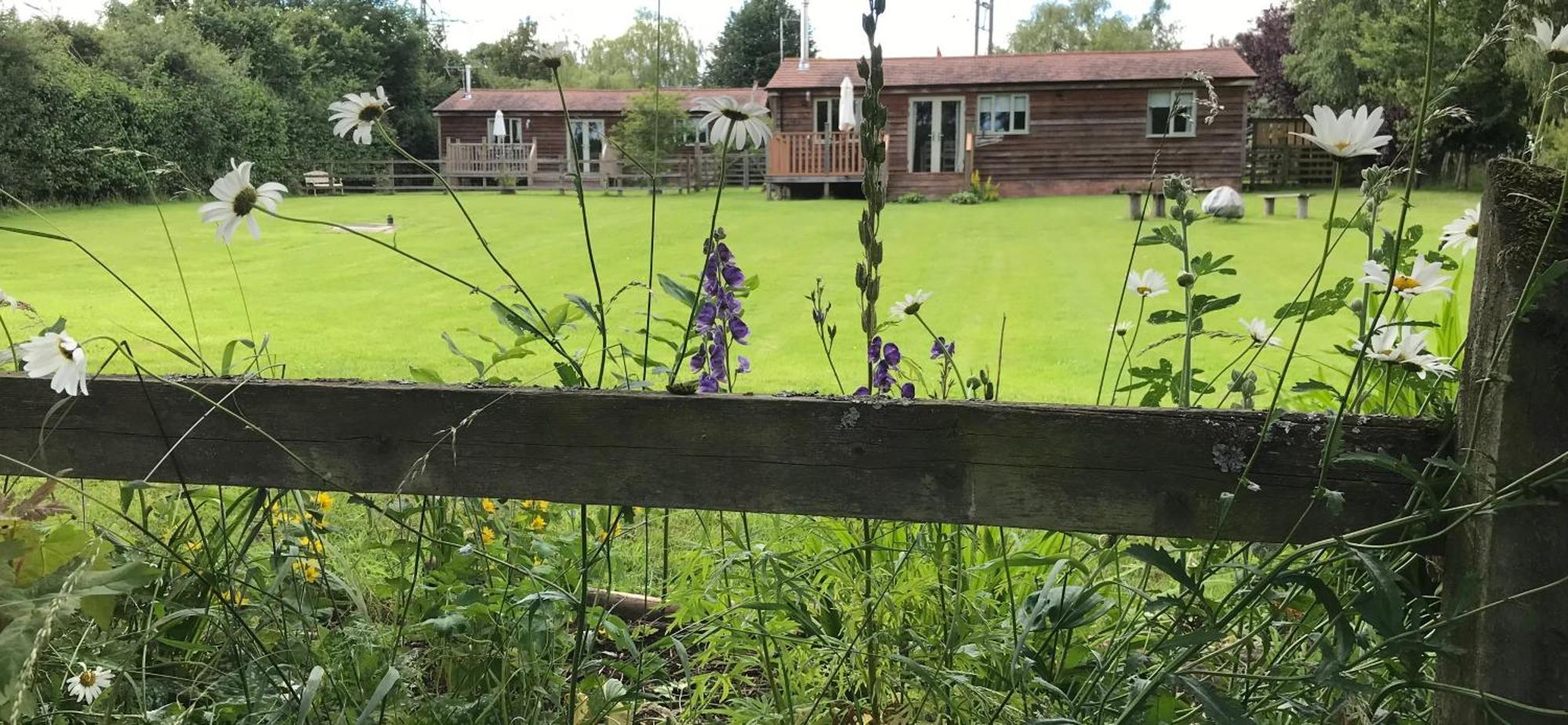The Nut House - Squirrel Lane Campsite